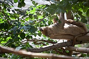 IMG_6232