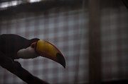 IMG_6265
