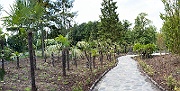 pano26