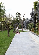 pano8