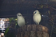 IMG_2859