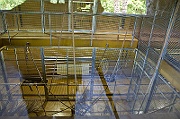 IMG_2886