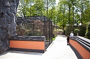 IMG_2895