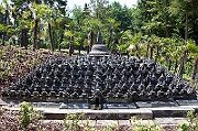 IMG_2936