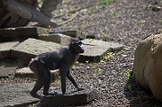 IMG_2966