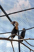 IMG_6145