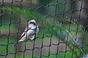 IMG_1495