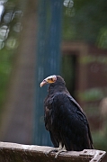 IMG_1508