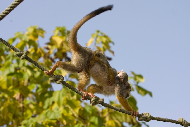 IMG_2273.jpg - je ne l'avait pas encore vu ! ça vous donne une idée de la journée ensoleillée