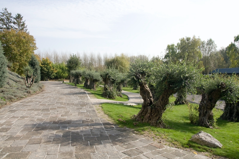 IMG_2791.jpg - monde chine !