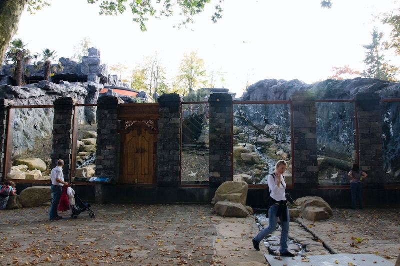 IMG_3157.jpg - l'enclos des macaques à crète