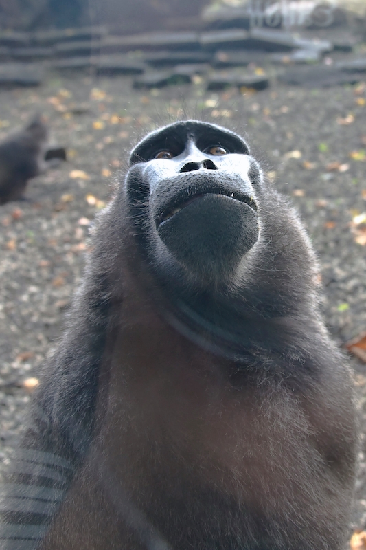 IMG_3191.jpg - un peu de reflets , ça a été difficile !