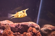 IMG_1575