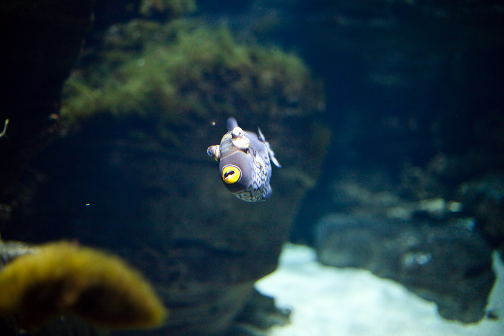 IMG_0989.jpg
