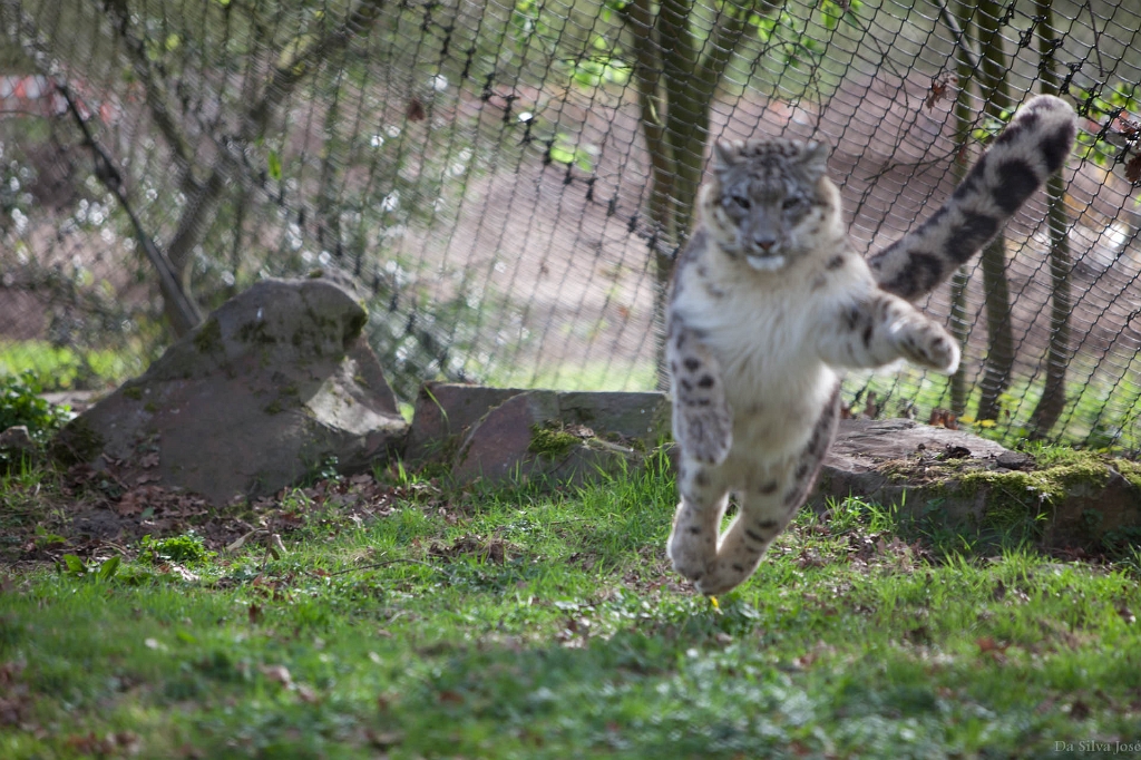 IMG_0418.jpg - ratée ! le point s'est fait plus loin, le regret de la journée.