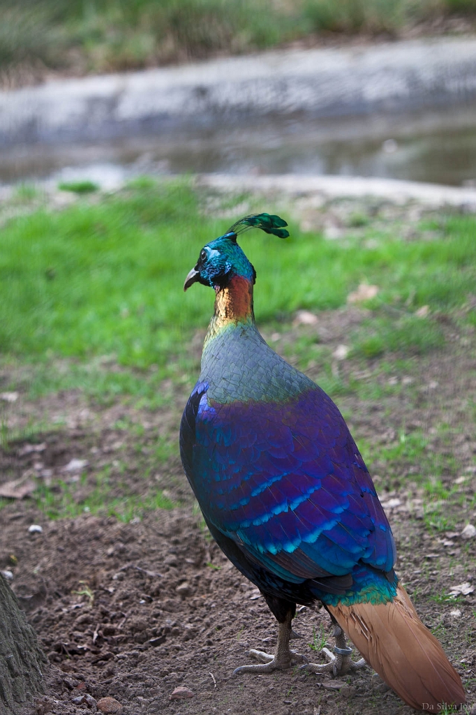 IMG_0554.jpg - le cauchemard des capteurs :)