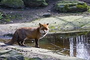 IMG_0018