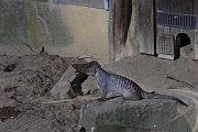 IMG_0054
