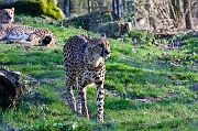 IMG_0617