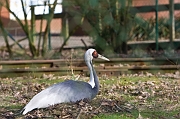 IMG_9069