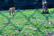 IMG_9155