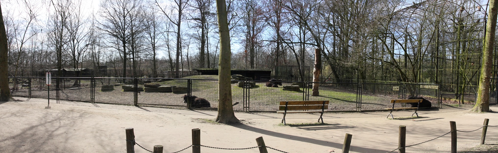 cornes.jpg - enclos des yack