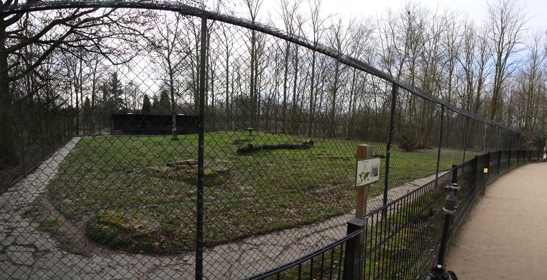 guepards2.jpg - enclos des guépards