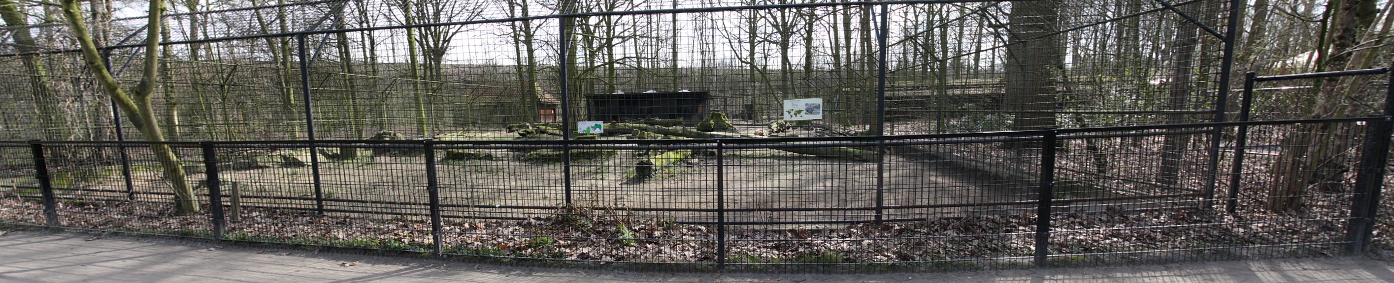 hyennes.jpg - enclos de hyennes tachetés