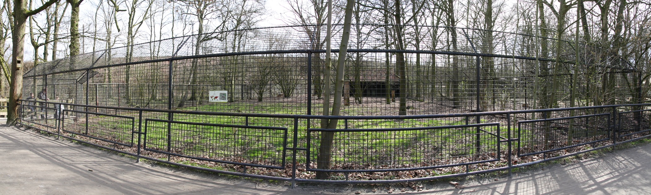 leu.jpg - enclos du loup