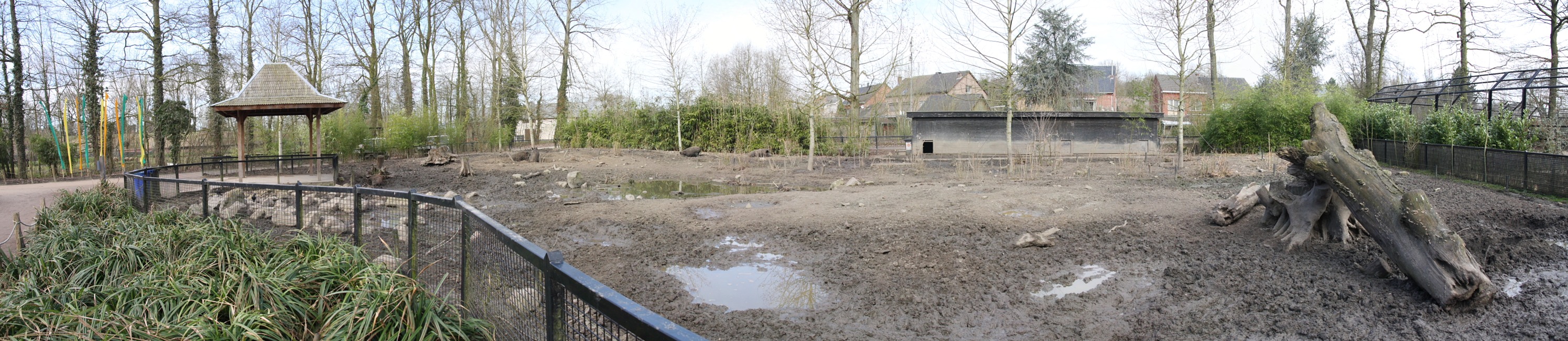 sangliers.jpg - enclos des sangliers