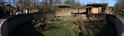 herissons