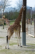 IMG_9714