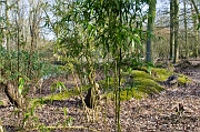 IMG_0681