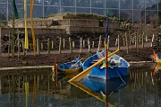 IMG_9318