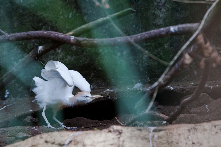 IMG_9167.jpg - super impressionnant ....