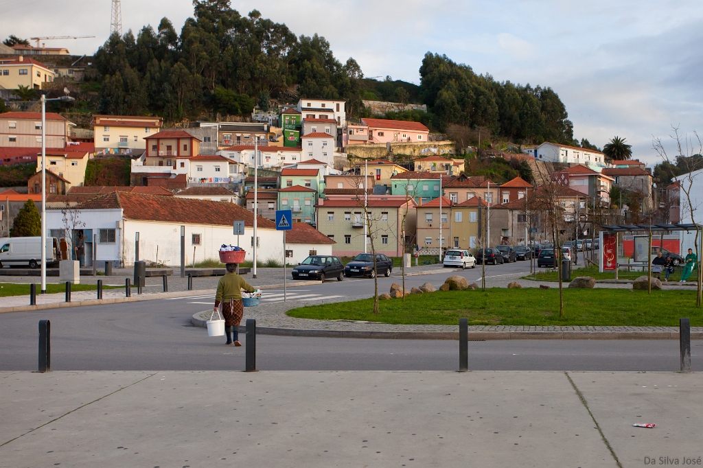 IMG_5108.jpg - (cliquez sur le bas de l'image pour l'afficher en plus grande taille)