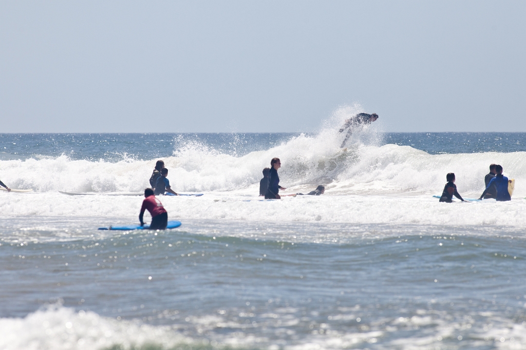 IMG_0430.jpg - carrapatera