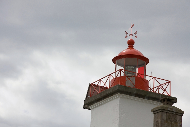 IMG_6941.jpg - pointe d'agon il y avait u tas de papillons dans le coin !