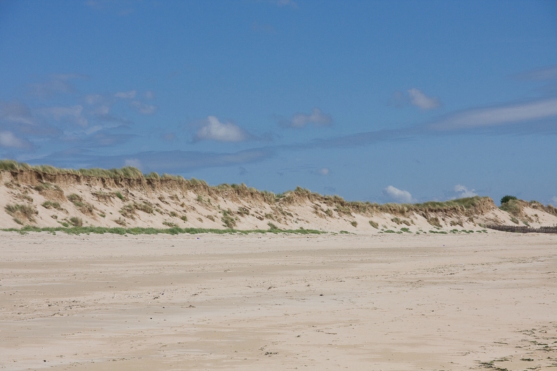 IMG_7309.jpg - les dunes de la plage de montmartin elles sont percées de galleries pour les lapins sauvages.