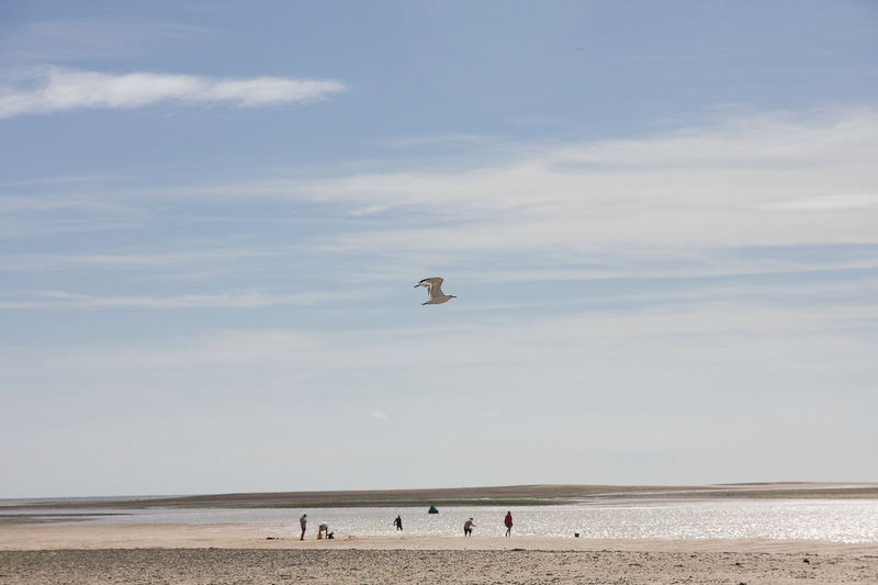 IMG_7314.jpg - il n'y avait pas énormément de monde, d'un autre coté à certains moment ca sentait mauvais.
