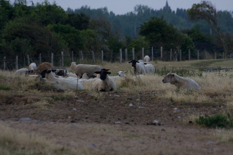 IMG_6796.jpg - Äø/]òU|ÐJ[§yìIvmM˜Ff¢2Ì�@ÿ (¿ªXé�“+Žã`ßWo‰~ƒ”ÚmõA­Zñmäú½h]@ Ÿe$3±“‘èŽ †�82)ª¼+ÉÆÕÜxï‘¢¶Çuhl|ÏÕœk¯zþ˜ø\½>?õ‰|IAÇN×•-9�ü‘ÁèàUâ=s"3Ù¤Å]üÅrÞ”¥ÙÄŸh×§¿O¿"$´Ç¯5H×P�Ñ˜u$…ä*Oã˜Ó«Ù¶2ïBMª†º”p�È*b6ûÎB×‰V]](ÜJË0Z“à*E1°¦KZ�g,§ã;©é†ü—‰d:£H´-2ÐrjoMÿ Šñ"¤¶-7¢ûHh~1_Åq�»²½†çÒ†5h ¨®ç}�Â�—Áì@°‹eûG�U¸�¿#–pZ±Ë9E„èp{�h¶¨âDØÚë_UW’8Ø1~5,[á=�·L6B×ÛÇ*ðˆ›Á‘ªwßjí±ÇÒ —ÿÑçöúÓl²¯äoÓî®P-5Ks:†Œ©U?n8�÷É*¯í®$ÉÌ«5+ZöÄ’…×ÖVw³C²”U1…ïñ”Ã ‘J»ižZµQ)³$(©c9¨ SaÇlDÁM0o1év—“gC+°6p´€–Q±æÍÅ{åÐ!®V�Ò|¼¶U–È.c‹‘‘x¸,OóäI6�6dú¦�»¦%¹*&CZs¿Ù+Ub¬½þ rb[1ªA/äüöW¹ÓupÈAhåà… (Ïü.@[0¤E¿”ÙÐ¯Ö`�qä�þÝ6å‘ðÊ£"Ð/"‘}Y�=ë]…wOc¶@Šf—J½¶Õ!ºçê[ÄKp§ZíB|FüqZ6œÁ'ªò3( °ôÅ@1¶Ahg©4d$q5ÜžûSRðÅsoðýß8) w¯|QºÉšò(àŽ&,z4”©Ú¿j¾8©ÿÒå1K ¯.;�ï˜ülí+E¿ðšV¦´ùØx’£ °ÝÐƒ×Øâ’•�Kë‘†eD QQö¦ôË@ °æžiú¬QB°IÅ‚Ô�Oã€’�öú�¸Œú!pj—.ž Œ¶4CSŸÒWœ”)PÕj1¾š´u¶¸üO>ªwHürq�°1¤t^`·k»EÜ2XR ”ã½ÖÉØFíË¨]‹¢DÒ9"¡‹W¯p:e‰l†ëS–w¤îì´bW–ÿ çÛ+%Ÿ-“Ì.c–vH�©+Ó½@¦ ¥¨[JÒ@( ¢’@$S•F"KÂŒÓ/üÂfX¥EàäåkÒ˜NZGt ¸5äáM ñ®Õ ]ò¾4ÒYsy¨ÛÜŽ|j«±;š1ïN�2\g¢8vDÇækàULÊÊŸiÑjañ‚R2æ±‰åÔ®®\[qö˜µQL& `T2’FÔØS®&$sPmVßTº•Öø#oÚ¡;ž�NES#»ŒEñTÊxUºV•å‚Õ"÷j�-Â­Q\MH §l•±ÝRå­aª-ù+Óá¡5¡)í„H ­¶žyÑ€âÞ˜*iïËØï‡ŒÚÄ"EÐèìÀ:ž”éßèÁ9Û(Fšý7‘ÎE­~""£Û+Ýšö×mÅ˜.Õ!†Ãß¦‚¶MUdN) Zõ¡ ÒþTVv^JjV0v$ìÇ‘éÓ"Y€uƒ°Š¨ ¿k}É÷ÀAATnO®Enñ„‰�+ËaÈSo%L÷¤Ëô½‚ú“~Ñ£MÏ"dY!¥»ÓæBáWnÇ}ÎûÕÄƒKgž�eŽ:Jû¾õ§NØy¨WQl±£ÊIj/"ô­zfHf¥ea;‘�J‡]Ê�Ül�’u²³�¸\ÈL›•pHíµ{a% ÖSFÑƒé•`Ü¨@4=éãíŠSD%ã•´‚´´¡Û!º¿ÿÕâM§‰¤Ž�‹{}ù¦ÇG£ÁæÒ¸�Ð%| ‘„5ÉjAø‡J6ýÙ%CˆÁ2z©@Ô¡SÄ×éÅUÝãcFGÄXr´¦)*rµØ#'‰©âÄ‘×¯\6ŠZ€(àXÆçrÀ5wëÓ¯RñJX)v?}êßŠªšzcƒq®ÜÚûÅp*™,^’V5OµZ¹©éLUµ3‚ÆU-ð�lUVÎ+¹Io ±pJ¬µýßåNÔÁH"×\[ÜÚ!Šâ°ÈÃu•Z´=þ8RJÁ×*G)ú*Š^ãîbâÚœqµÏJ€r\)Ù¸¯59Ð¨gj‘»m¿Ó‘!i¡6¤Œô Ñž´øm¾ ú.O8Q€Š�•ÄÆ‘hxàŠ5hy¬îMJ×âúØºcZÂ#¡ F¡$ûcJ¨��É¸…V©¥0%Lð‹â.M({øüñTÍô¨Ø]½ÄNµ¬‘VRv‡ç“áÚØÞè^BU>ª©p;‰R’9IFP¼‹|lE�™é�*öò¡–‰èÛ€j@ìi\xÈbE¢Á¶Š Ü€kÓp@ßq×!ÄÉdi·º²y-�"§ed ì)Ñºäee¶Ì{UÖeºž9ã“ƒ„E(ŸhyoC�4HÙAÍ¬ÎZI¡„…Óáùä¨±2(�fâUá¹$õ¯¿L"( •k{»µQPxRB|14¡8–¬#’#Yø„—‘ïÛÚ™èØÿÐŽzqÉ@>¯ÅòÊx›iug/ª:ðê—ÒŠÄÈ#žÕï†Öš$ñâV¤“SNŸ~6´³×µ€4�(E~üm\œ�DQÙ{»+AÀº Ž„ j¤T¶M*,ŠÆ¼@4;‘Vûñ´/(£`€î(k�¥d²FªÂ4PÌ~Ÿ¿A]ìECŽ•IêÚ�•@©¯(~ñ‘d¹ý0@Tz*vïL�Ó½;`Q¸yPDãÄ…>²a¢�h+¾TšP“O´?‰kÊ¿|:cj‡¹†Ù\:N&�Æ¢§¦ZRK%æ°üjje­}ˆß­+>êìjcûiß­.“KŠMº…ÝEH¯ËZ@ÉåÝ ÞåJW}òa‰‚´T½vxÌF‹d"„òê&G”µX‰`ä¬`1'¡ðÁaˆ�Q4{–UXÐ¦ü›n¤u?~*·ÿÑ‰‹ÔV5fÌkn]õ�ÈM@+¾ØAUXÑdŒ|Dq5ëL6®¸‚'T‘Þƒ¿lD”¡–ZBn[�Hðï‡‰Ô–MÒ5?ØôÚPò@Û‰d"‡¥zß¸ÊêáK%6jœU²Ä2†R¤ý“N§èÅ.¥¶RIØ“·ÓŠLiÇp;S®*´G85-AãLRãHÁsRNÄ�Î4«þ³HöBJønrÜUjÑ˜Øý¢)S÷cHVP9| ®±È¨Aç÷×Úm^êK”ŒED“¿zxah›ycy