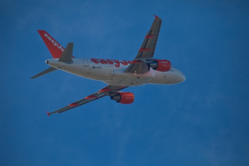 IMG_5946.jpg - bien détaillé le zoizeau