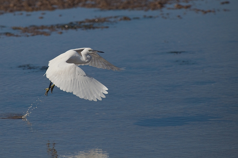 IMG_5979.jpg - mais pas longtemps !