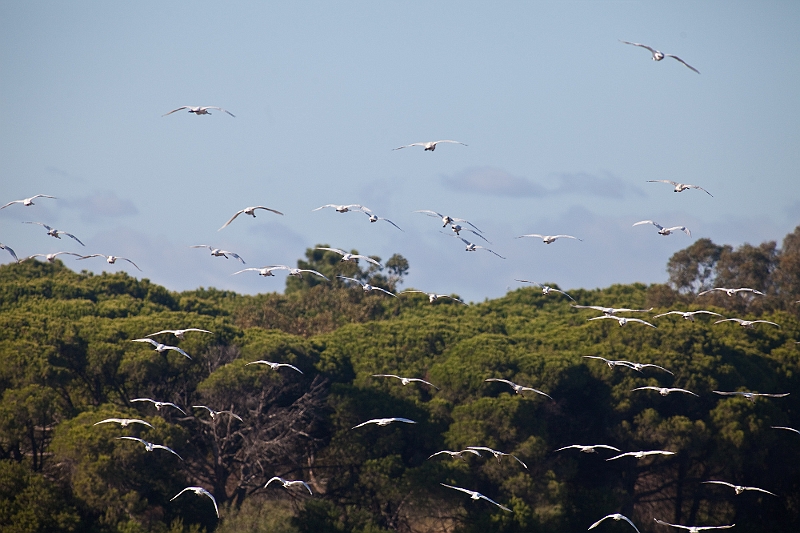 IMG_6149.jpg - qui ne sont pas restées