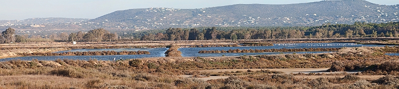 salinesria091109.jpg - ah ! je les ai vues de loin, mais loin de les voir de près ! Tous pour la RIA LIBRE !!