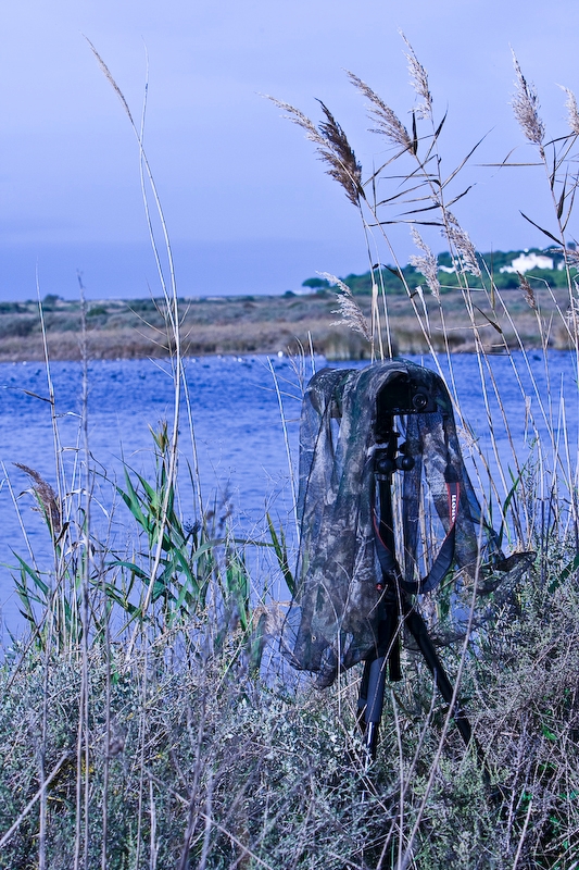 IMG_4973.jpg - un 500 mm est un avantage indéniable plus des vetements de camouflage