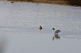 IMG_1869