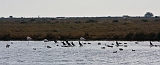 IMG_1923