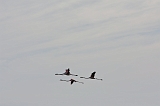IMG_1940