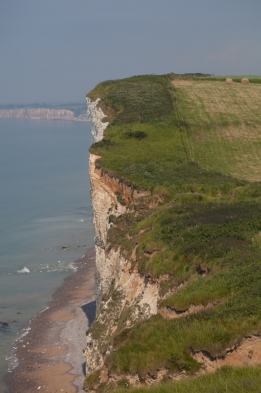 IMG_3837.jpg - entre velette sur mer et st valéry en caux au milieux des champs